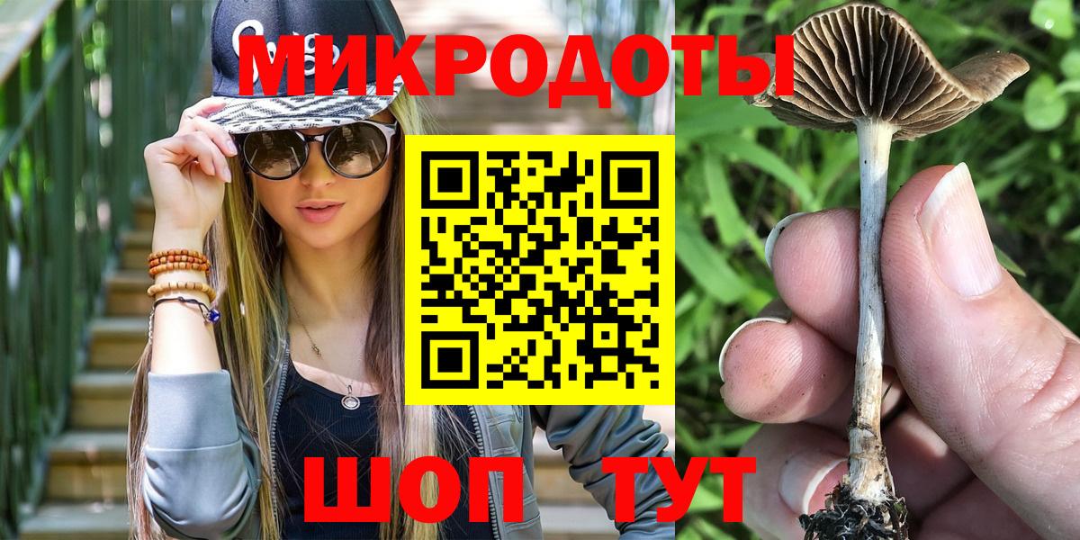 Галлюциногенные грибы Psilocybine cubensis  Вход с VPN  Ачинск  Псилоцибиновые грибы Psilocybine cubensis 